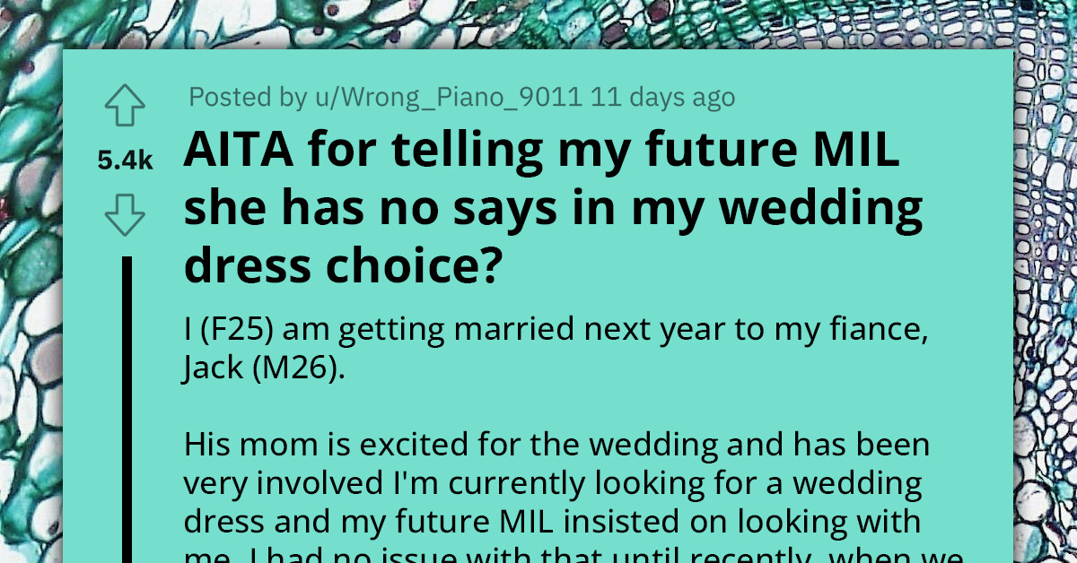 Redditor's Future MIL Calls Her Names For Not Letting Her Interfere With Her Wedding Dress Choice