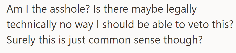 OP's questioning veto power over the Airbnb plan; believes common sense supports safety and comfort concerns.