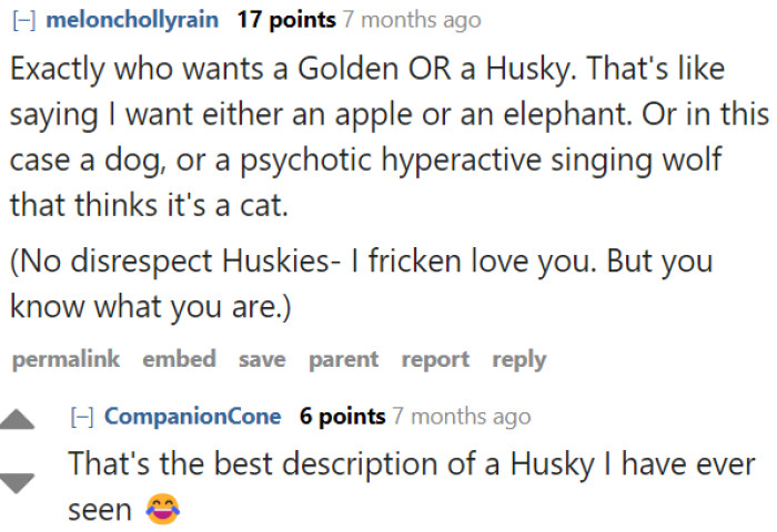 Owning a Husky will be a nightmare for those unprepared to make a commitment.