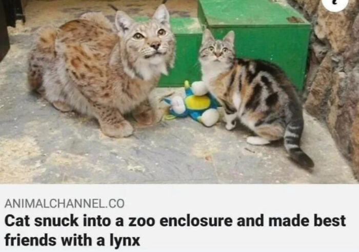 16. Blessed Friendship