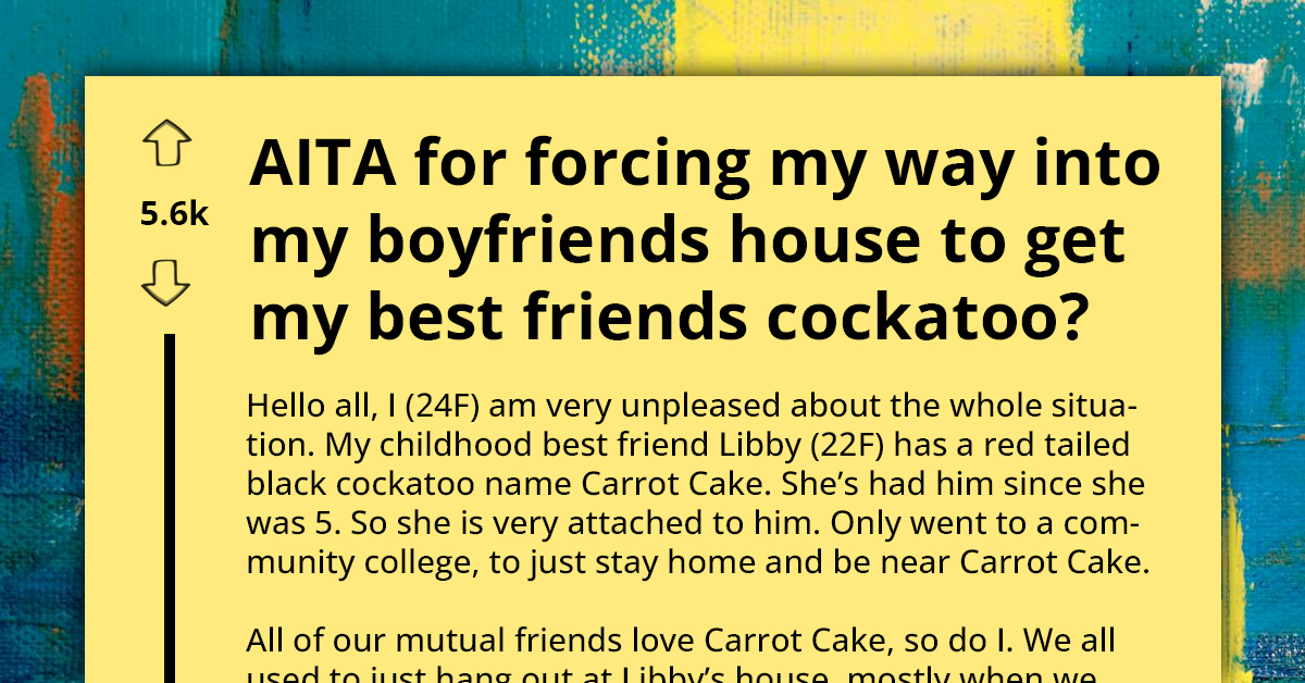 Lady Accused Of ‘Forceful Entry’ After Storming Boyfriend’s House To Rescue Best Friend’s Bird He Kidnapped