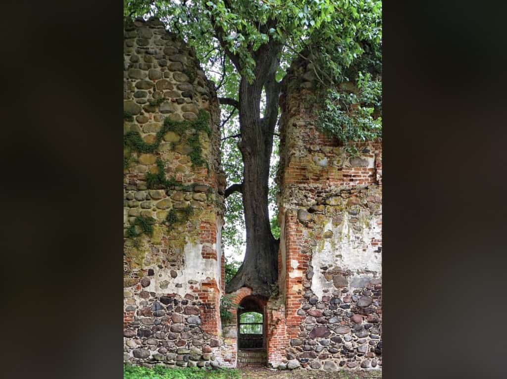 8. “The Gate Keeper at the emptied Putzar Castle in Germany.”