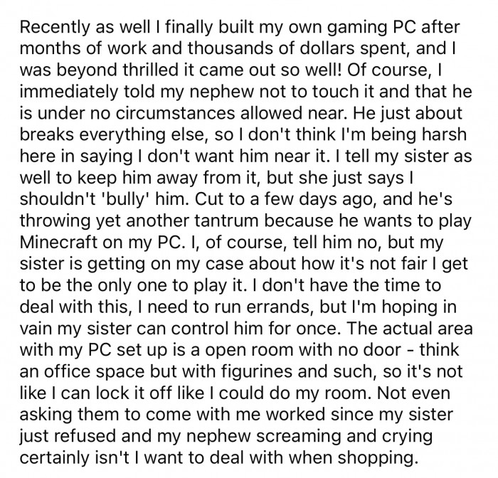 OP went on an errand and hoped his sister could control her son while he was away.