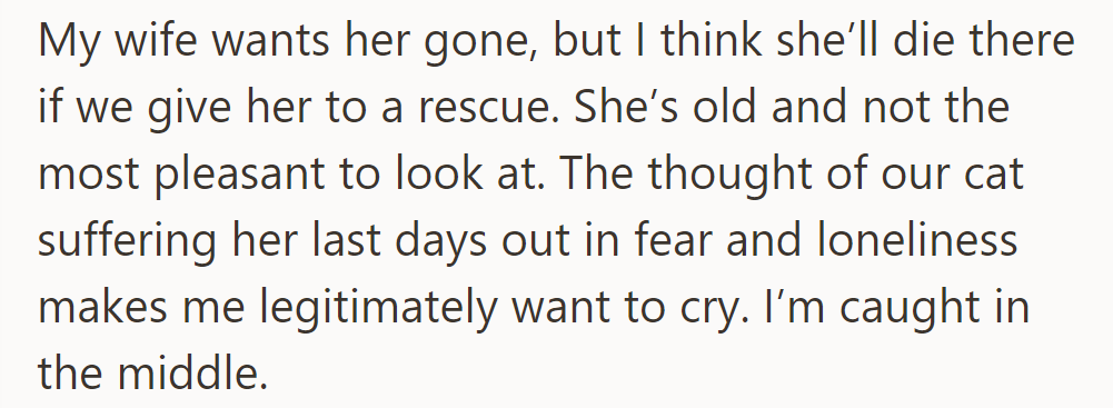 He’s torn: his wife wants to give the old, unappealing cat to a rescue, fearing her suffering.