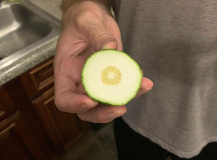 "We Were Really Excited To Use A Lime From Our Lime Tree For The First Time"