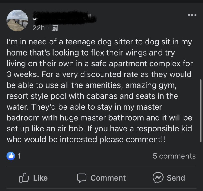 Interesting Dog Sitter Advert