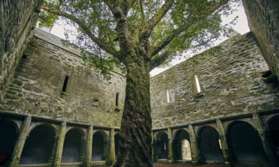 Haunted Places in Kentucky: Waverly Hills and the State's Darkest Sites
