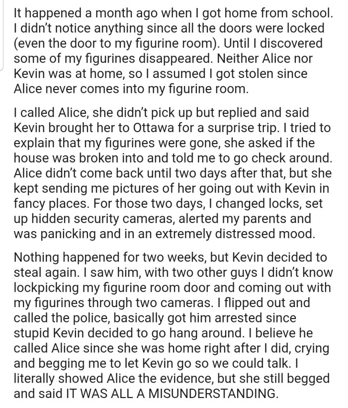 OP later caught Kevin on camera stealing her figurines. In response, she had him arrested. Even with the evidence, Alice has been begging OP to let Kevin go.