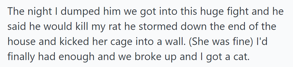 He Threatened Her Pet Rat in a Fight, Kicking Its Cage, Prompting Her to End the Relationship and Get a Cat.