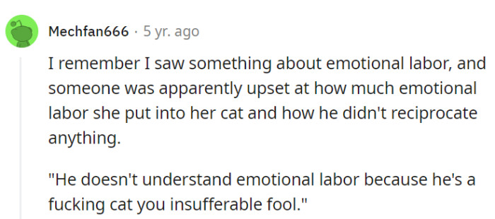 It's a cat, after all!