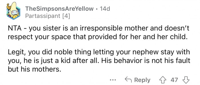The nephew's behavior is his mother's responsibility.