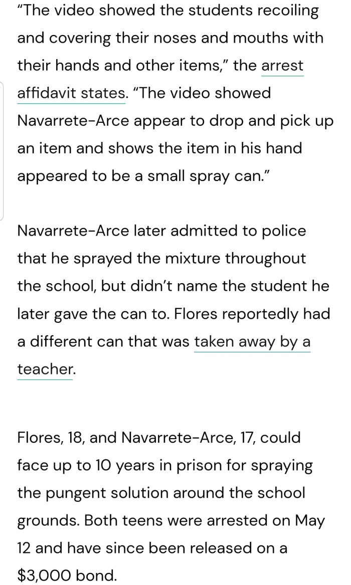 The Teens Could Face Up to 10 Years in Prison If They Are Convicted