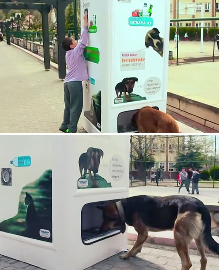 41. This Vending Machine In Istanbul Dispenses Dog Food For Homeless Dogs When People Put Bottles In For Recycling