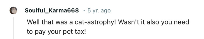 “Well, that was a cat-astrophe!”