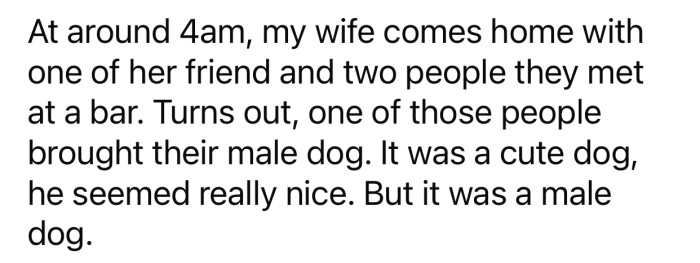OP's wife came home at 4 a.m., and she and her friends brought a dog along.