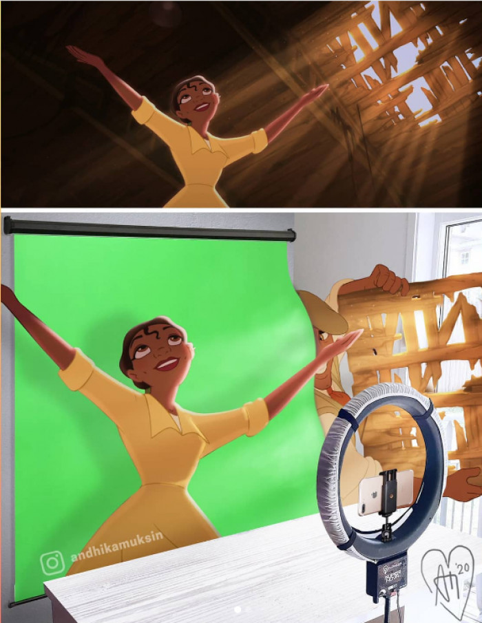 The Princess & The Frog