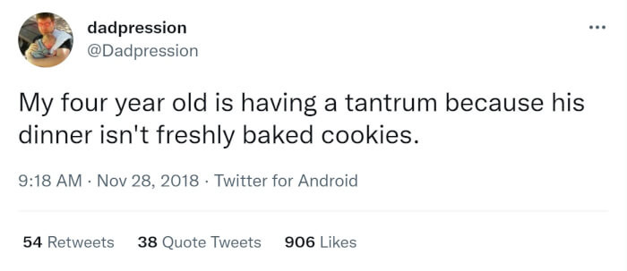18. Cookies for dinner?