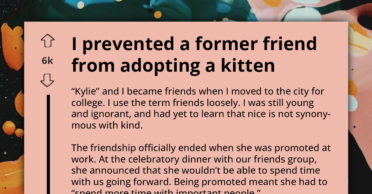 Whistleblower Blocks Kitten Adoption After Revealing Ex-Friend's History Of Declawing And Abandoning Pets