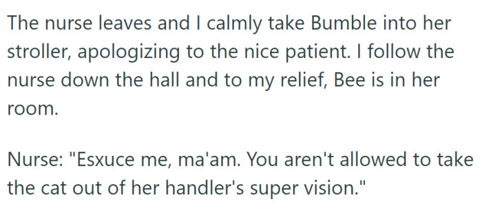 She took Bumble with her to find Bee, but the nurse reminded her not to take the cat out of her supervision as per the rules.