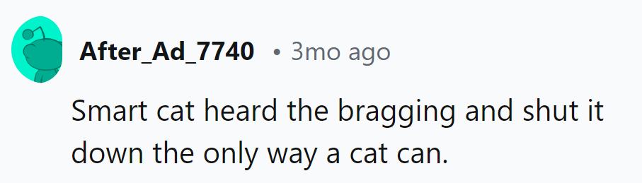 When in doubt, let the cat do the talking!