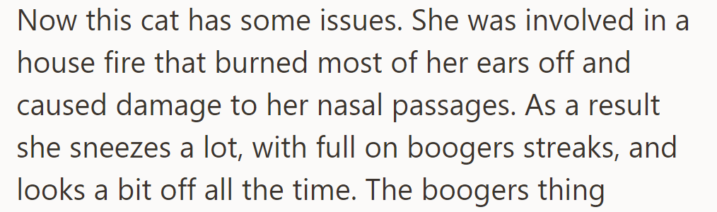 The cat, injured in a fire, has damaged ears and nasal passages, causing frequent sneezing.