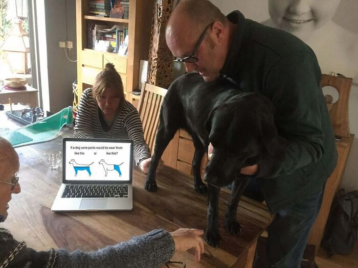 "When A Family Argument Gets Out Of Hand"