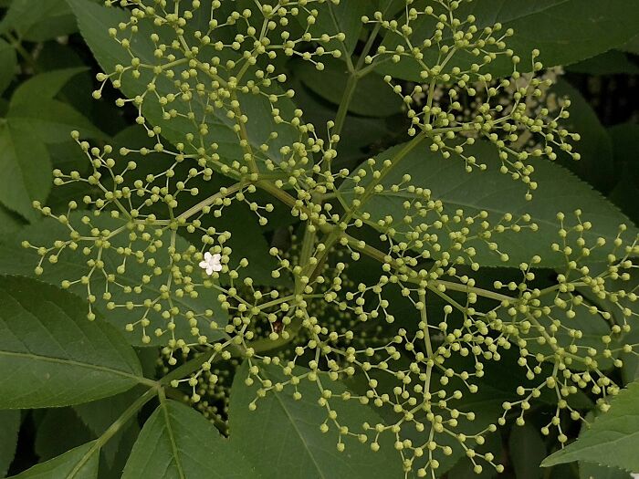 9. The White Makes All The Difference