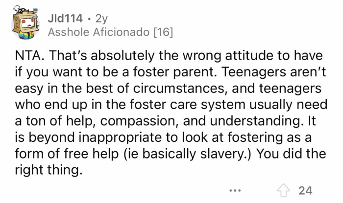 6. You're more qualified to foster than your older sister.