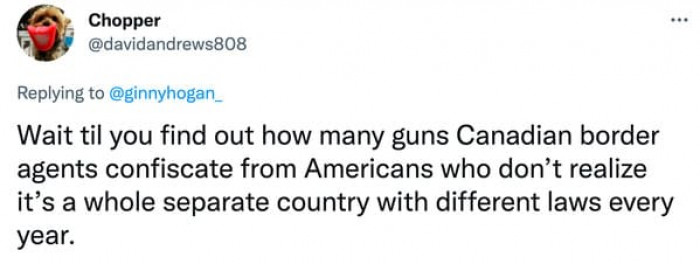 10. The Canadian border gun confiscation