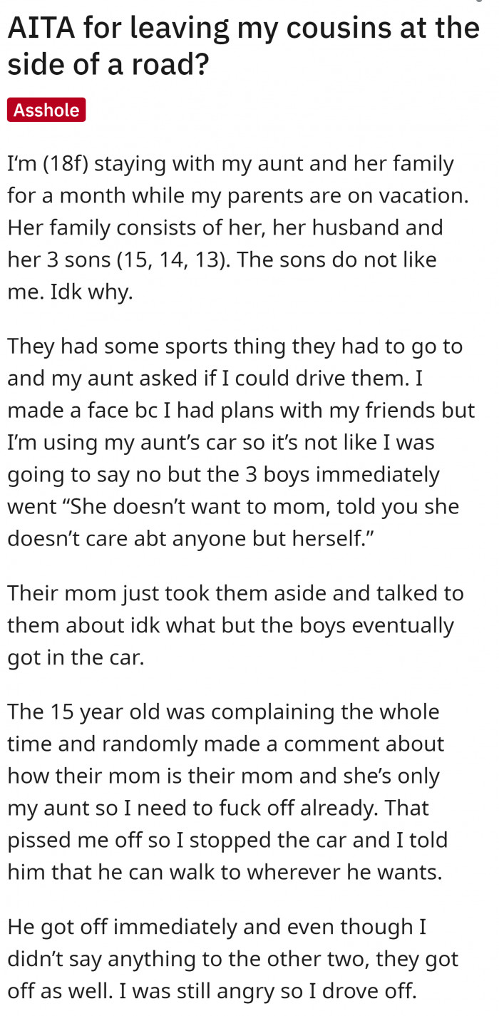 A teenager posted her concern on Reddit about leaving her cousins on the side of the road.