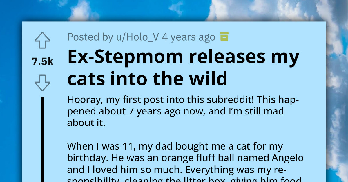 Cruel Stepmom Releases Redditor's Cats Into The Woods And Leaves State To Avoid Court