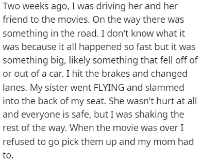 OP was driving her sister and her friends when she saw something in the road and slammed the brakes