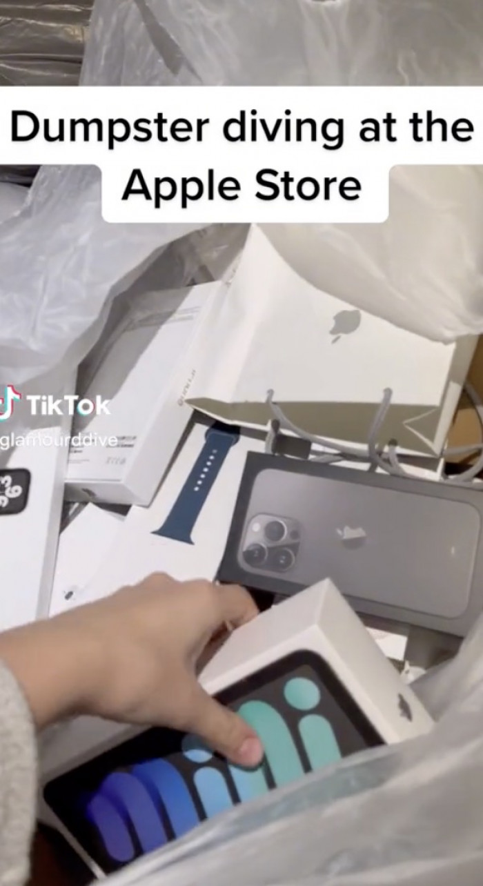 This TikToker is actually dedicated to dumpster diving videos, so it's not surprising to see her post this video.