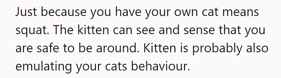 NTA. The kitten’s not impressed by ownership; it senses safety and mimics their cats.