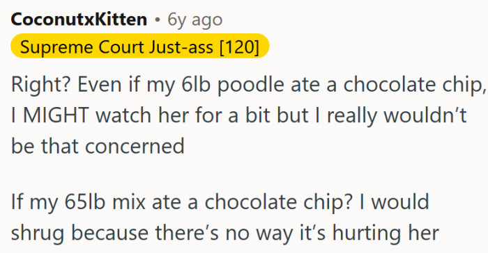 Even small dogs would be fine...