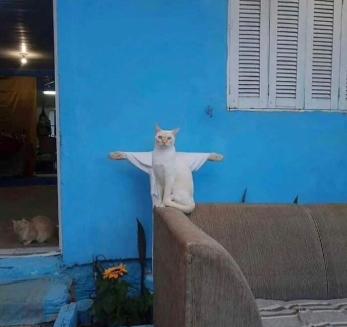 16. Street Picture Taken By Sam Pedel