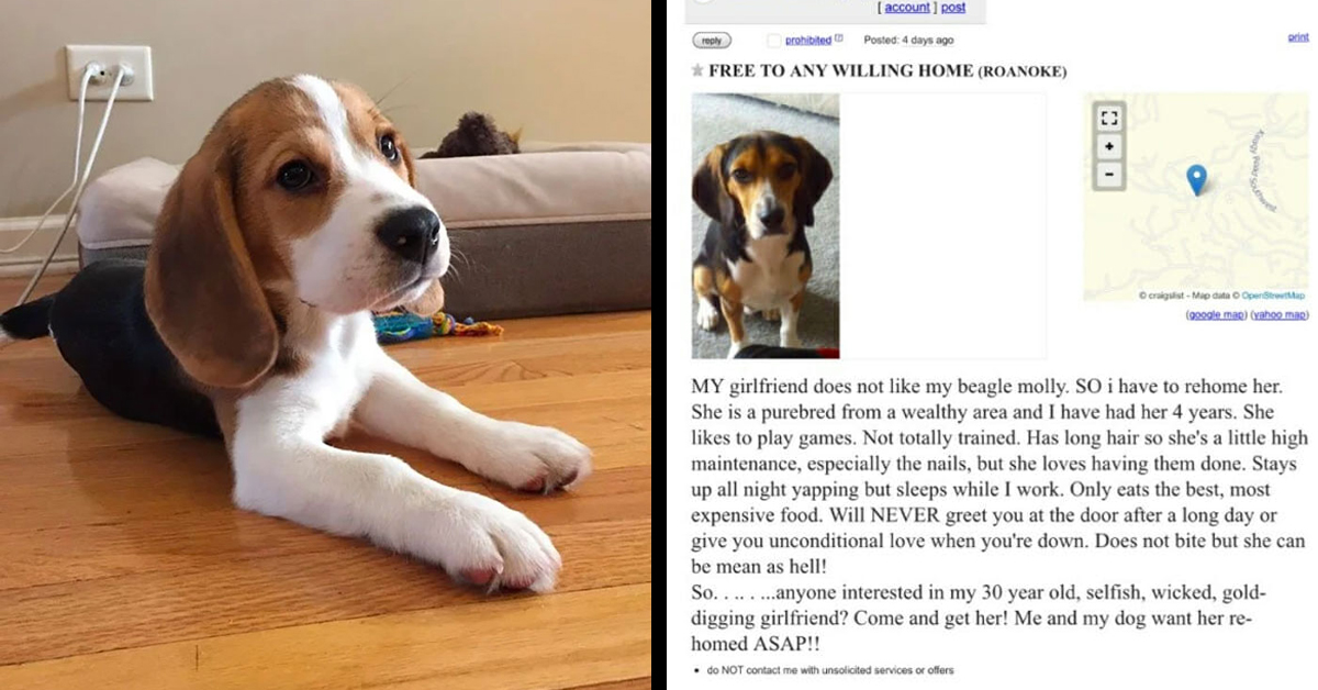 Man Forced to Choose Between Girlfriend and Beloved Dog, He Makes Heartbreaking Decision and Places Ad for Rehoming