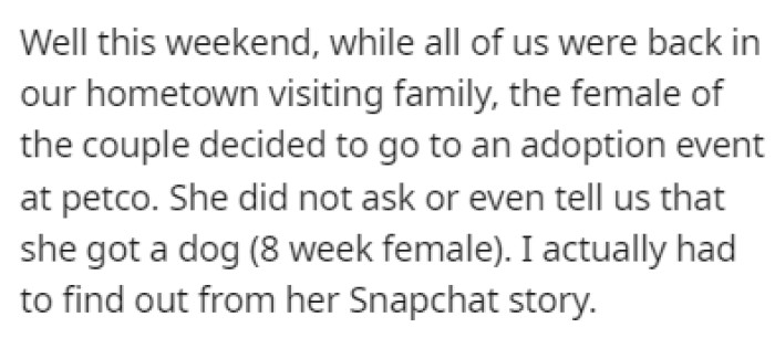 OP and their partner ensured everyone agreed on getting a dog, but the other couple did it without ever mentioning it