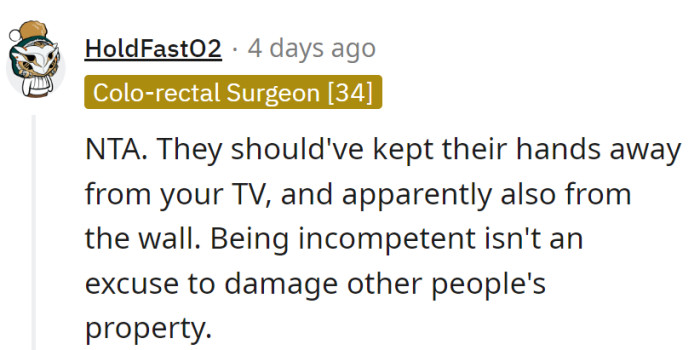 Hands off the TV and maybe take a crash course in 'Wall Preservation 101.' Incompetence doesn't come with a free pass for property damage.