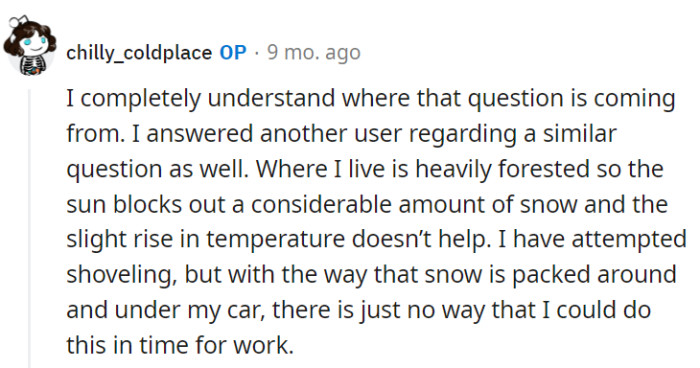 It's a snow showdown in their forested neighborhood—shoveling is like fighting a blizzard with chopsticks!