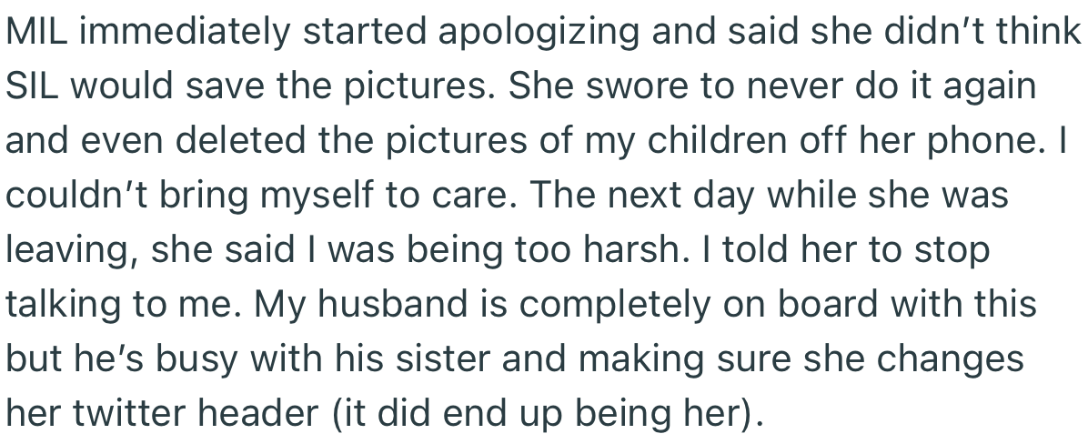 Responsibility: SIL used a picture of OP’s kids as her header. This gave the stranger she was arguing with ammo to bash her.