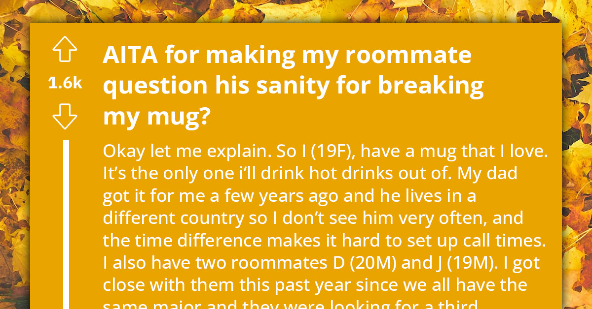 Redditor Gaslights Roommate For Breaking Her Favorite Mug And Lying About It