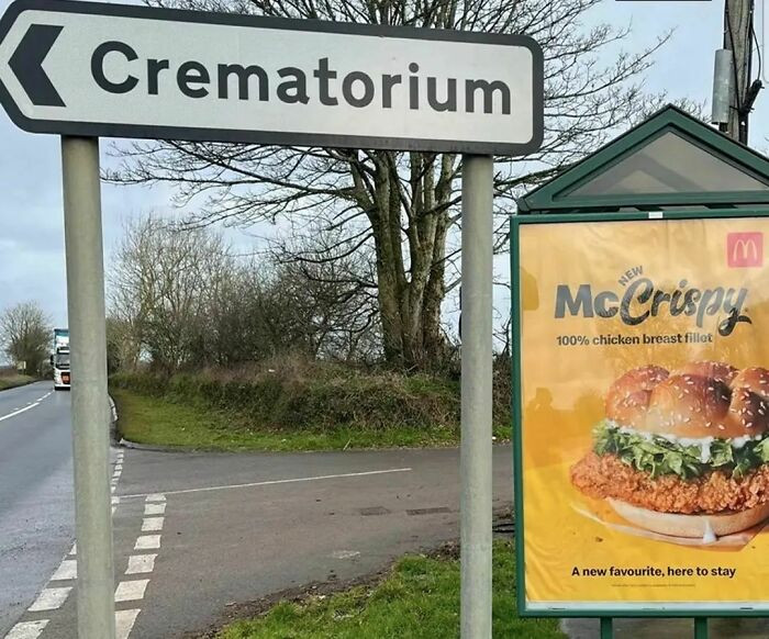 14. The British sense of humor