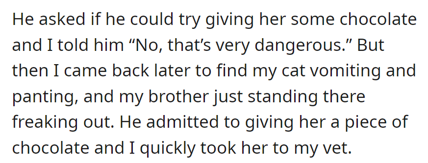 Despite OP's warning, the brother gave the cat chocolate. Returning later, OP found the cat sick, prompting a quick trip to the vet.