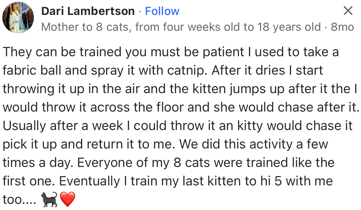 “They can be trained; you must be patient.”