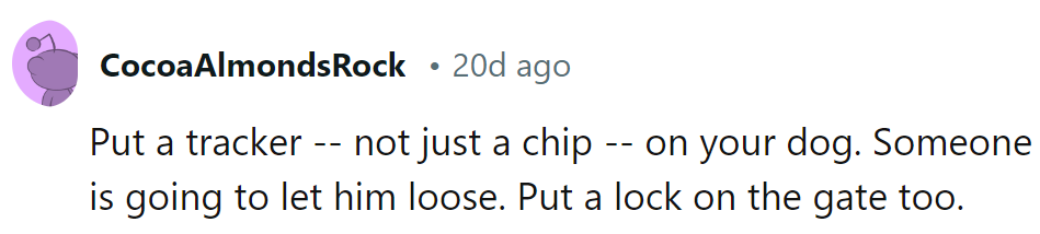 Tracker on the dog, lock on the gate—next-level security for the mischief makers.