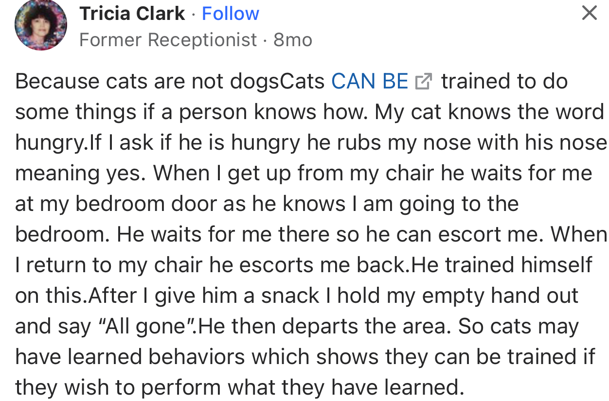 “Because cats are not dogs. Cats can be trained to do some things if a person knows how.”
