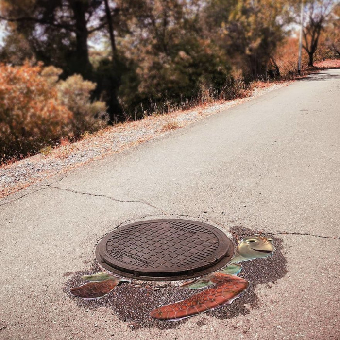 6. This turtle seems happy to be crushed