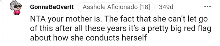 OP's mom is giving off some big red flags about her conduct