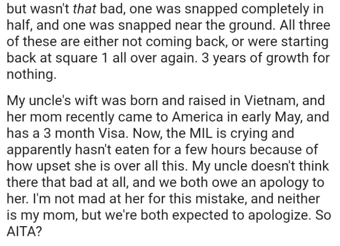 The MIL is crying and apparently hasn't eaten for a few hours because of how upset she is over all this